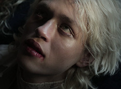 Foxes Passion of Lovers